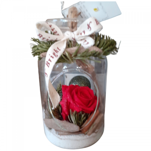 vase suspendu avec rose éternelle