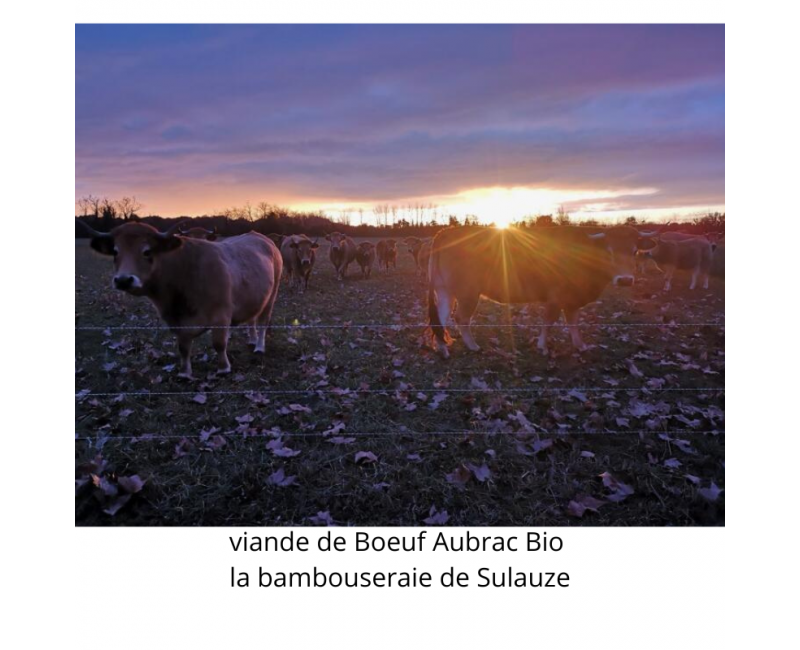 colis de 8 kg de viande d'Aubrac Bio