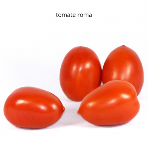 Tomate Roma