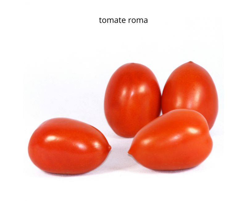 Tomate Roma