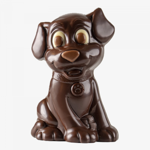 Chien chocolat noir