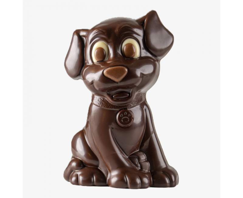 Chien chocolat noir
