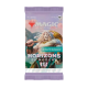 Booster Magic Horizons du Modern III – Édition Française disponible à Istres