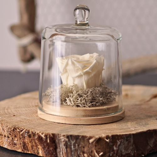 Cloche "Milda" – Rose blanche stabilisée – Artisanat istréen