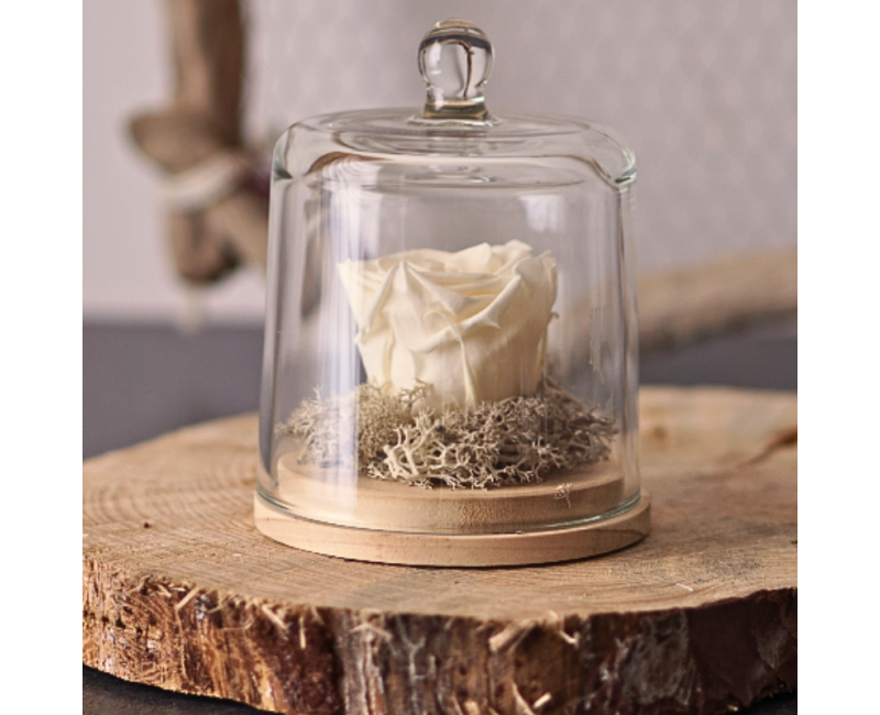 Cloche "Milda" – Rose blanche stabilisée – Artisanat istréen