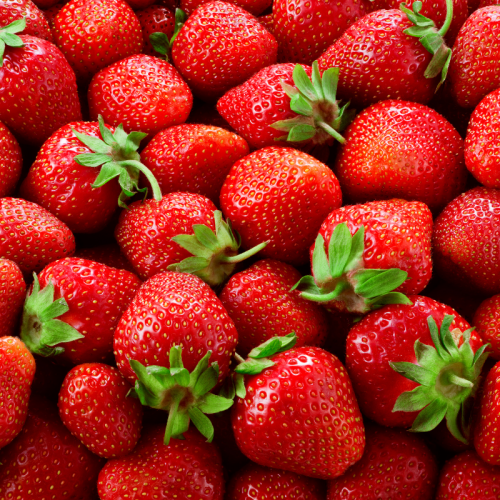 Fraises locales de saison