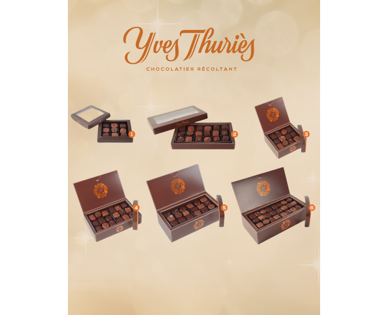 Ballotins de Chocolats Traditionnels – YVES THIERIES