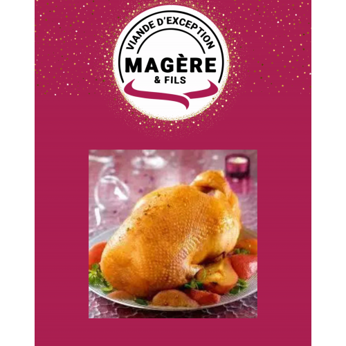 Oie Fermière – Volaille Festive d’Exception