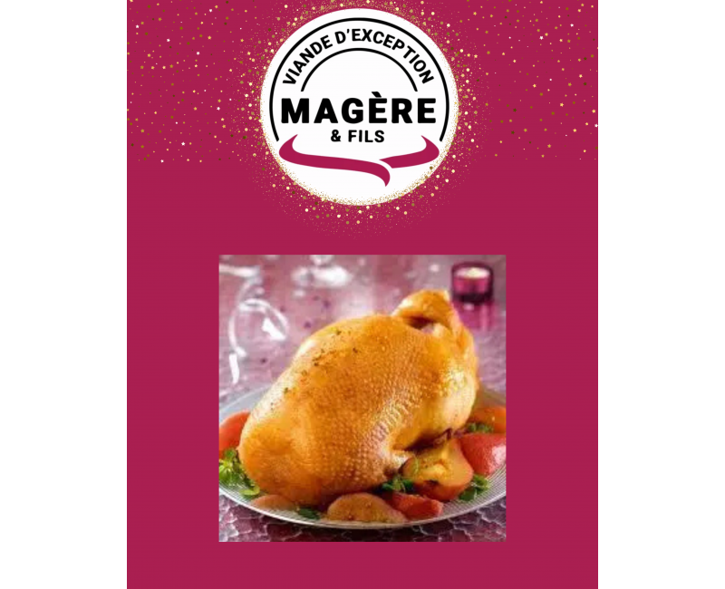 Oie Fermière – Volaille Festive d’Exception