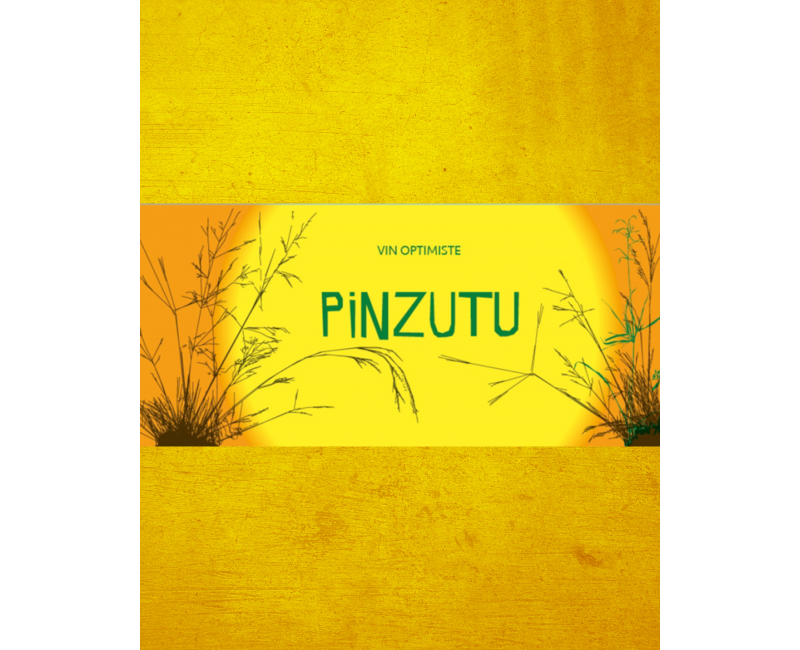 Pinzutu Vin Rouge Vin de France – Sciaccarello Biodynamique