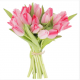 20 TULIPES ROSES