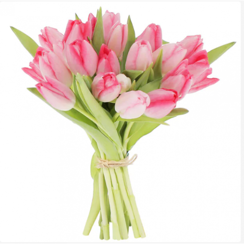 20 TULIPES ROSES