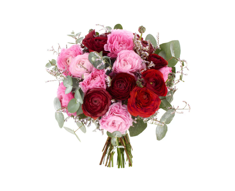 20 GRANDES ROSES ROUGES