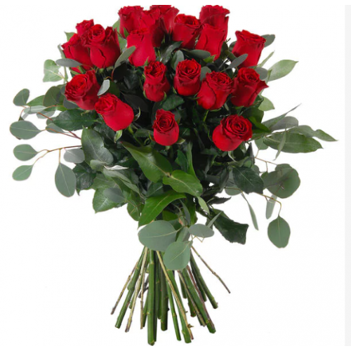 20 GRANDES ROSES ROUGES