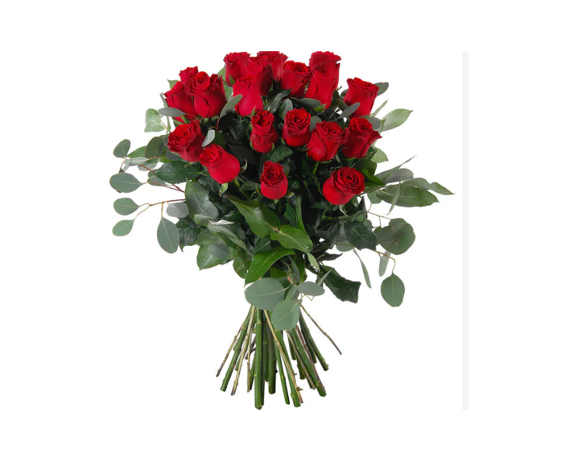 20 GRANDES ROSES ROUGES