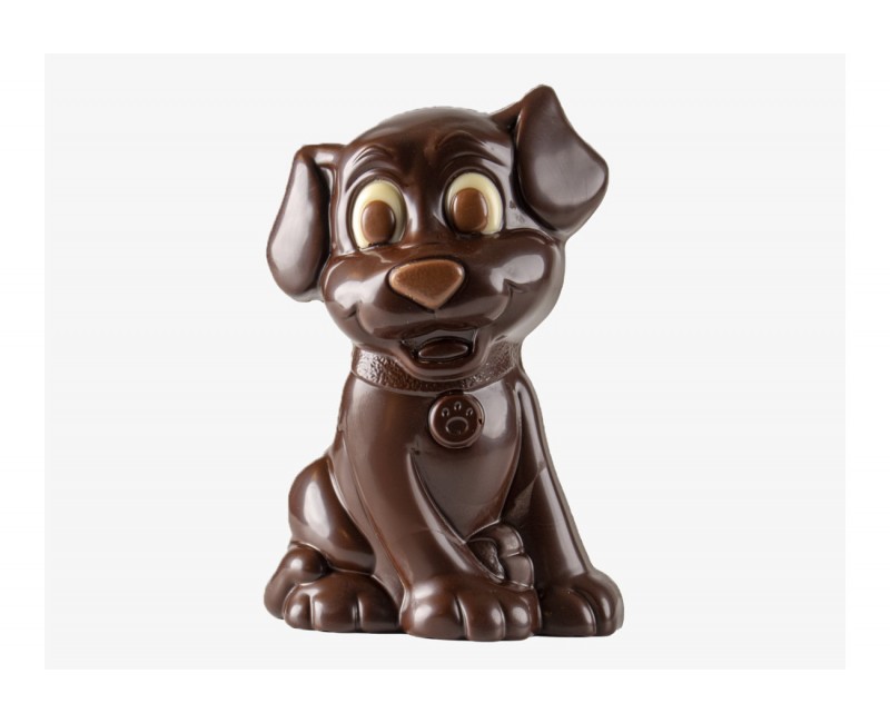 Chien chocolat noir