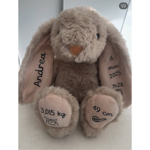 Lapin info naissance 