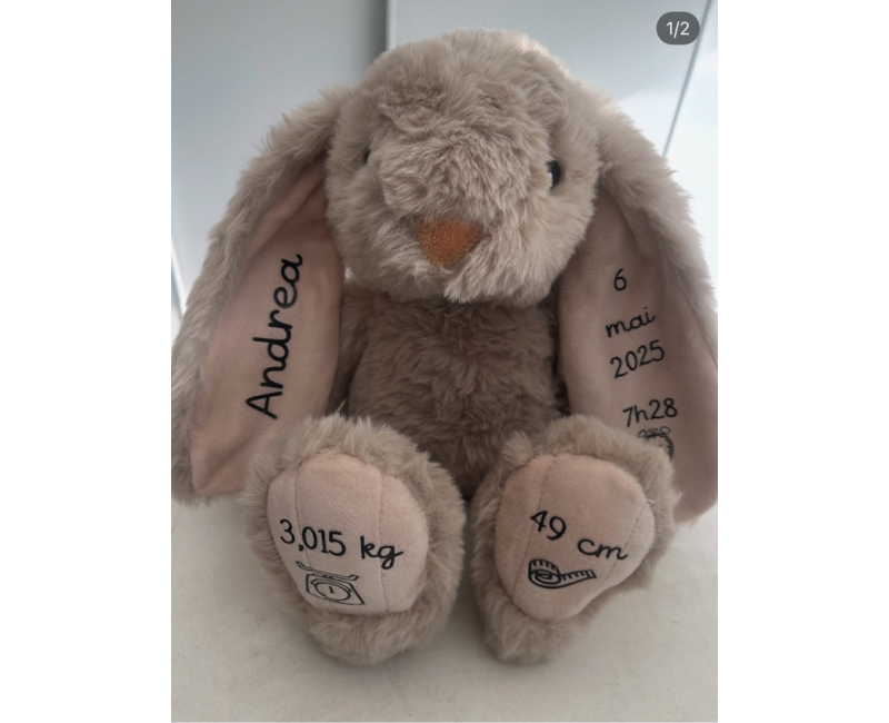 Lapin info naissance 