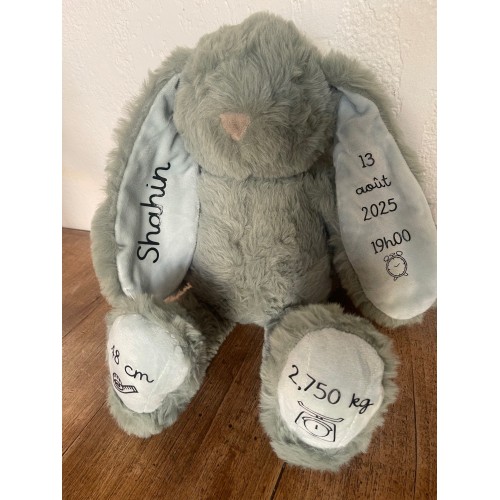 Lapin info naissance 