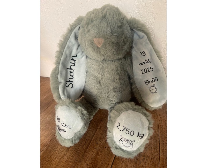 Lapin info naissance 