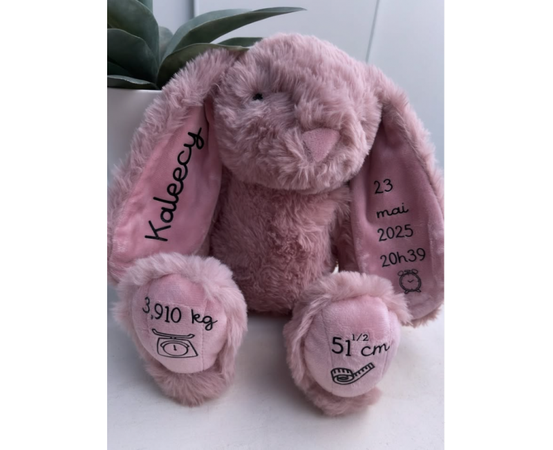 Lapin info naissance 