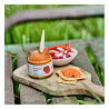 Tartinade Poivron Rôti & Feta Oliviers & Co – Apéritif gourmand