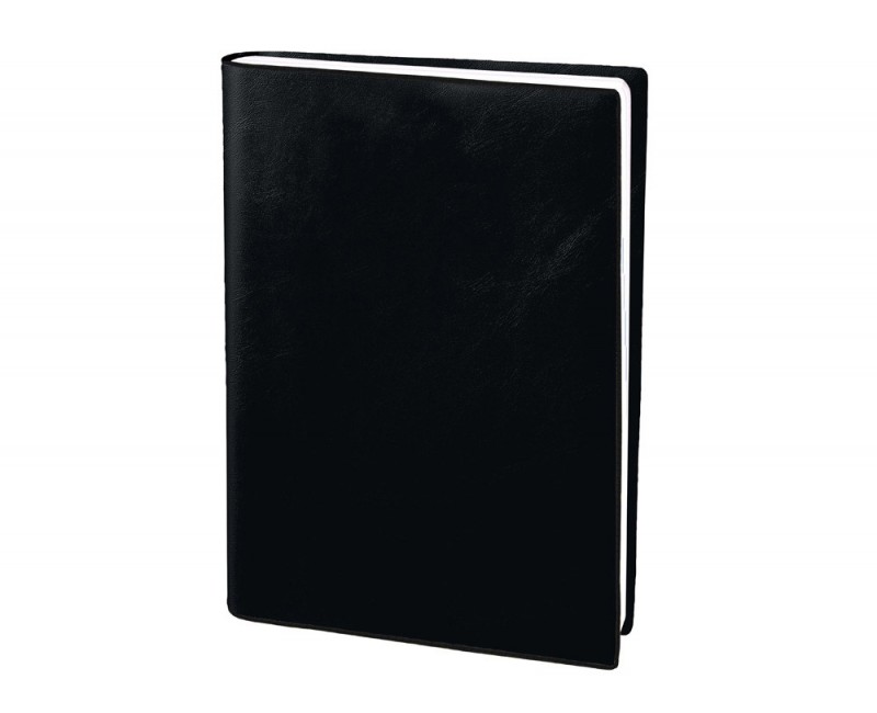 Agenda quo vadis olympe ml alpha 1 semaine/2 pages 16x24 cm coloris noir