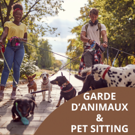 Garde d’animaux & Pet Sitting