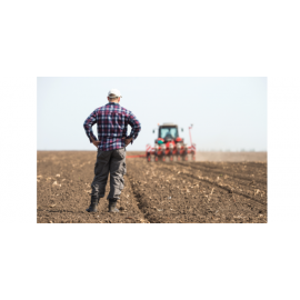 Les producteurs locaux 