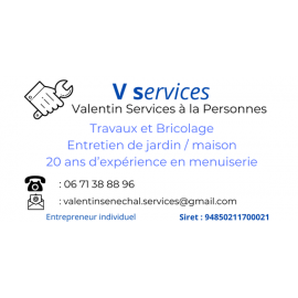 V Services