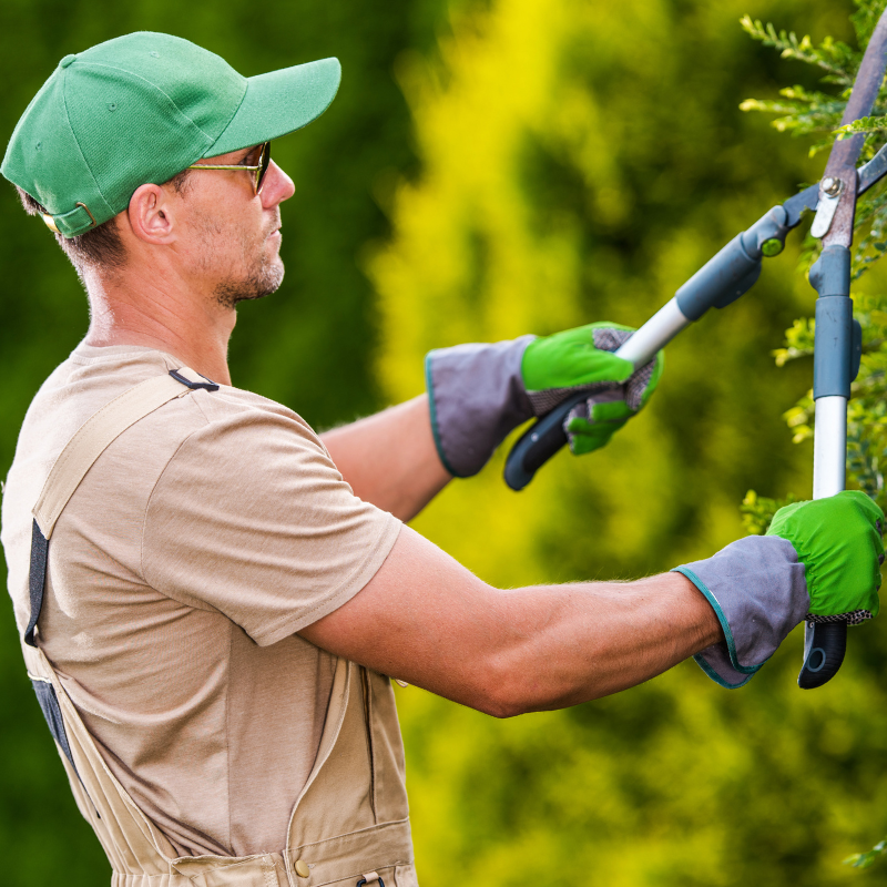 Entretien du jardin