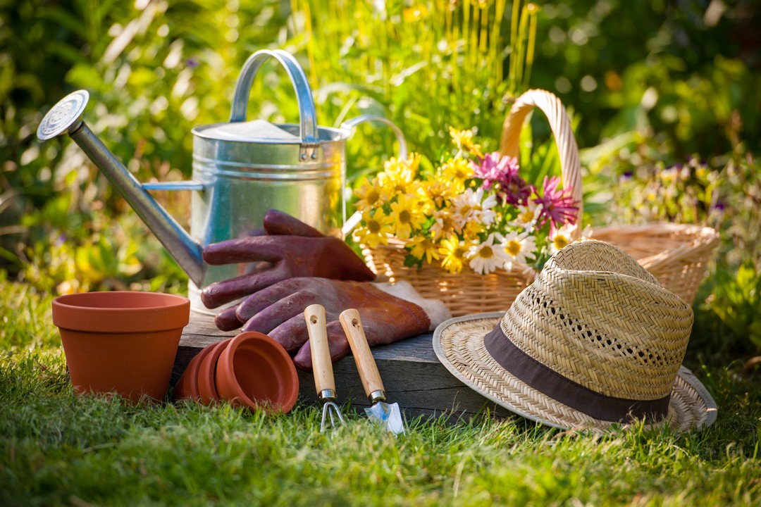 Journ&eacute;e Jardinage 